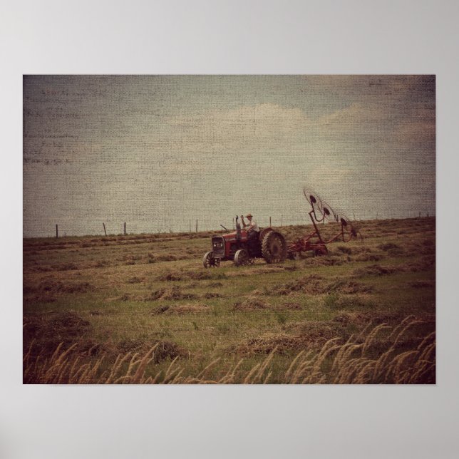 Pôster Hay (Frente)