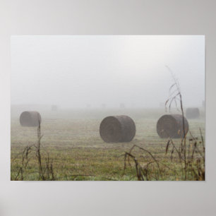 Poster Hay Balança No Nevoeiro