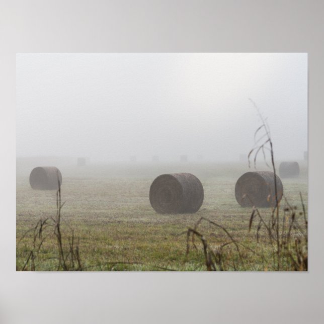 Poster Hay Balança No Nevoeiro (Frente)