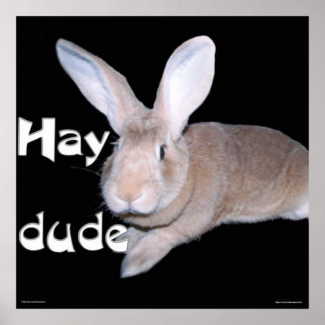 Poster Hay Dude (Frente)