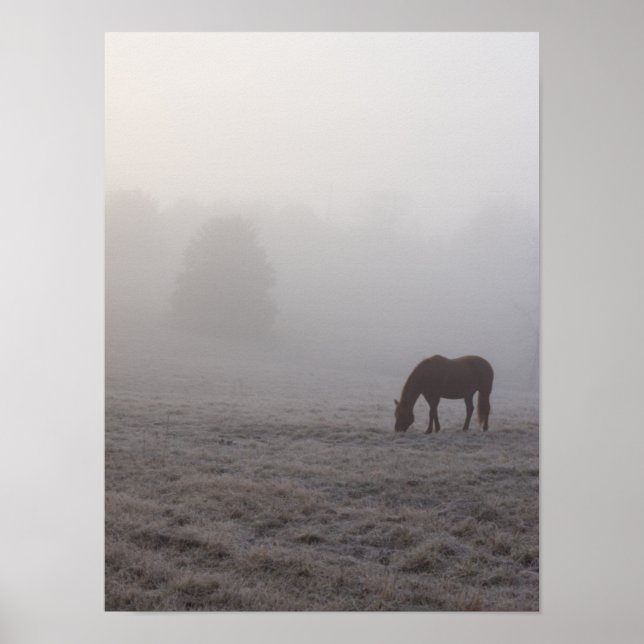 Poster Hazzy Grazing (Frente)