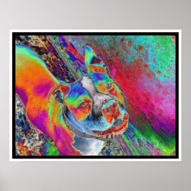 Pôster HDutch II (Frente)