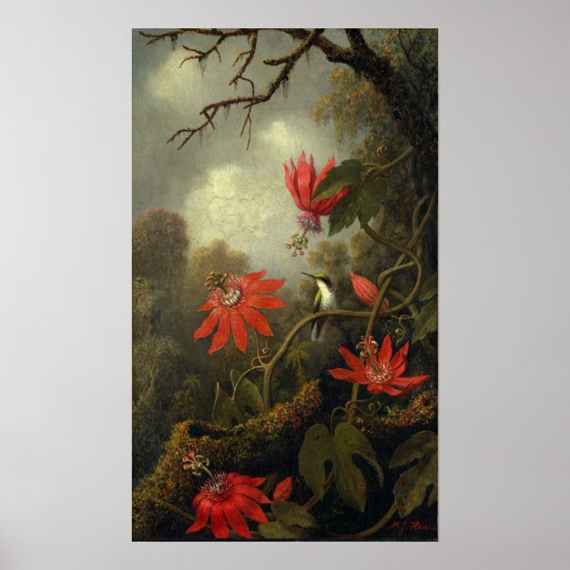 Poster Heade - Beija-Pássaro E Flores De Paixão (Frente)
