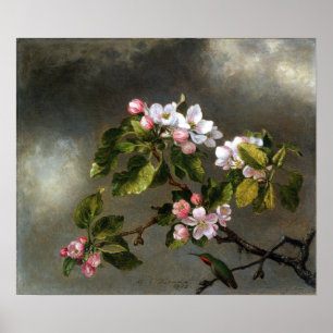 Poster Heade - Blossomas De Beija E Maçã