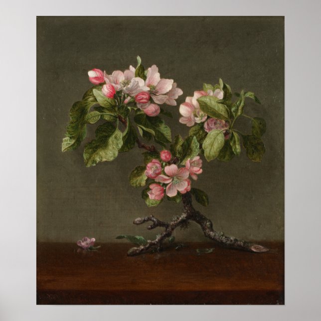 Poster Heade - Flores de Maçã (Frente)