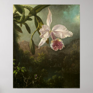 Poster Heade - Glóbulos Orquidianos