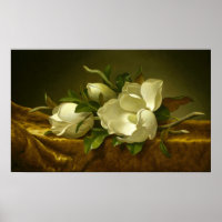 Heade - Magnólias Sobre Tecido de Veludo Dourado