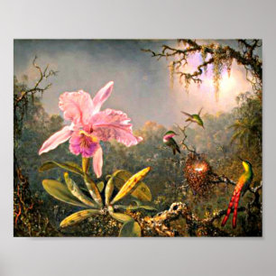 Poster Heade - Orquídea de Cattleya e Três Aves Humming