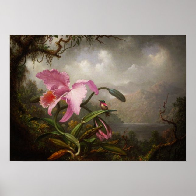 Poster Heade - Orquídea e Beija-flor (Frente)