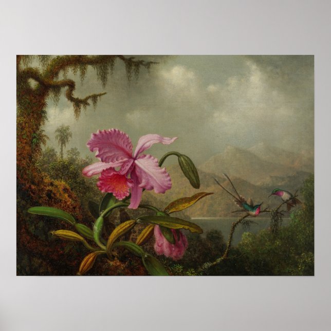 Poster Heade - Orquídeas E Beija-flores 1875 (Frente)