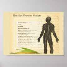Healthy Nervous System
