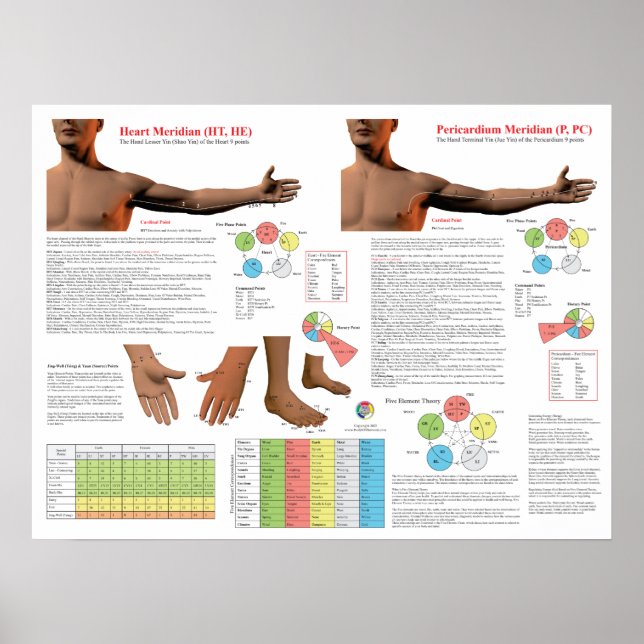 Poster Heart Meridian Acupuncture Points (Frente)