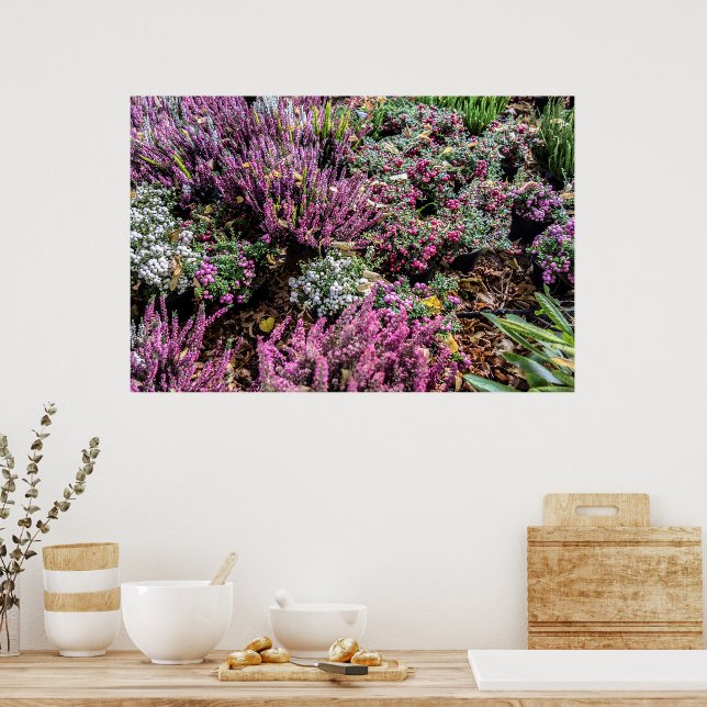 Poster Heather e bagas (Cozinha)