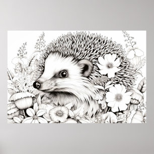 Poster Hedgehog Peaceful Nature Prairie Sketch Drach