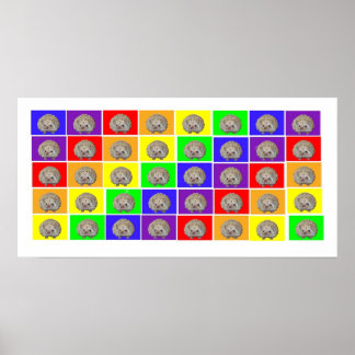 Pôster Hedgehog Rainbow