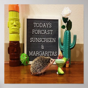 Poster Hedgehog Sunscreen e Margaritas
