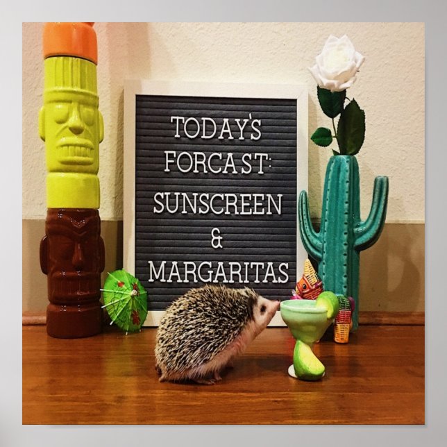Poster Hedgehog Sunscreen e Margaritas (Frente)