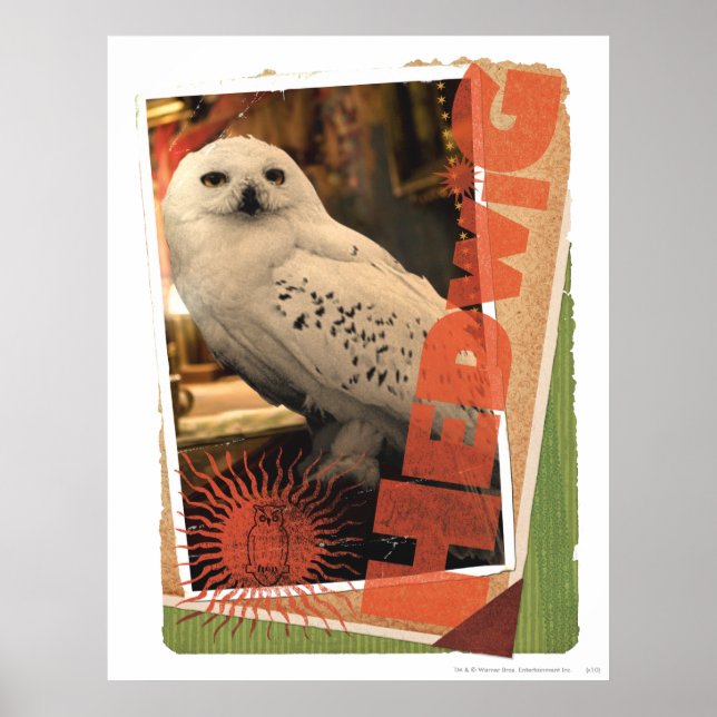 Pôster Hedwig 1 (Frente)