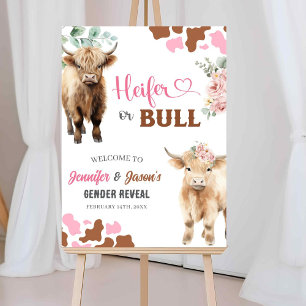 Poster Heifer ou Bull Gênero Revele Conselho de Sinal de 
