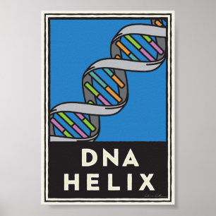Poster Hélice do ADN