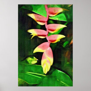 Pôster Heliconia tropical - garra da lagosta