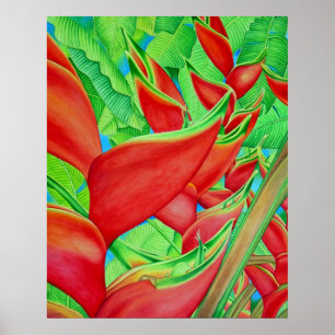 Pôster Heliconia vermelho