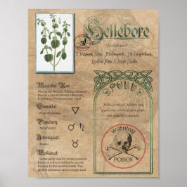 Poster Hellebore Herbal Book of Shadows Pagan Wiccan