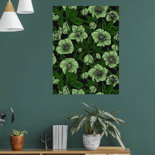Poster Hellebores brancos com folhas