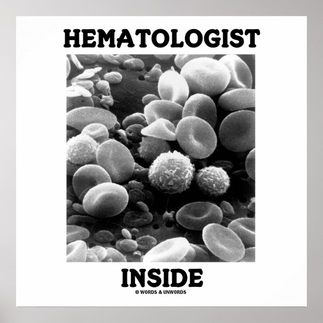 Pôster Hematologist Inside (Blood Cells) (Frente)