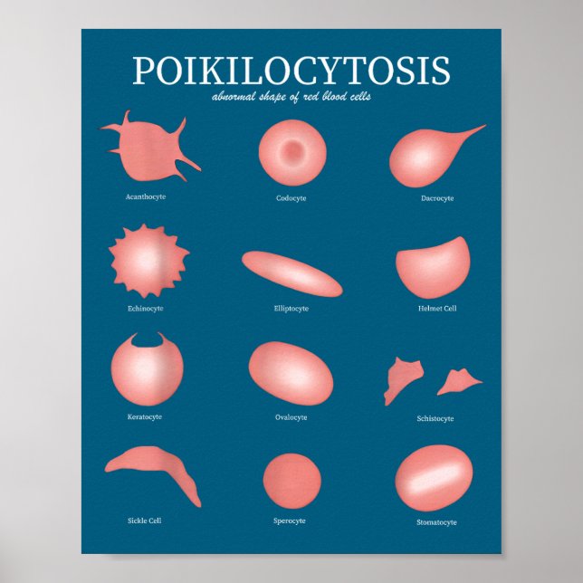 Poster Hematology Red Blood Cell Laboratory Science Hemat (Frente)