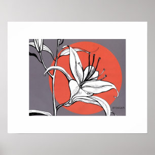 Poster Hemerocallis Sunlit