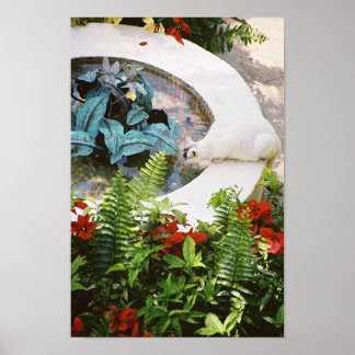 Pôster Hemingway cat 1 Fountain Bebendo