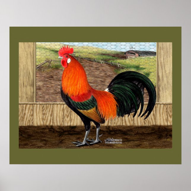 Pôster Hen House Hero (Frente)