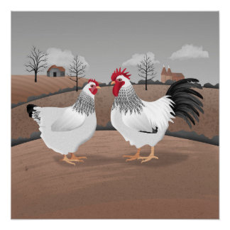 Pôster Hen & Rooster