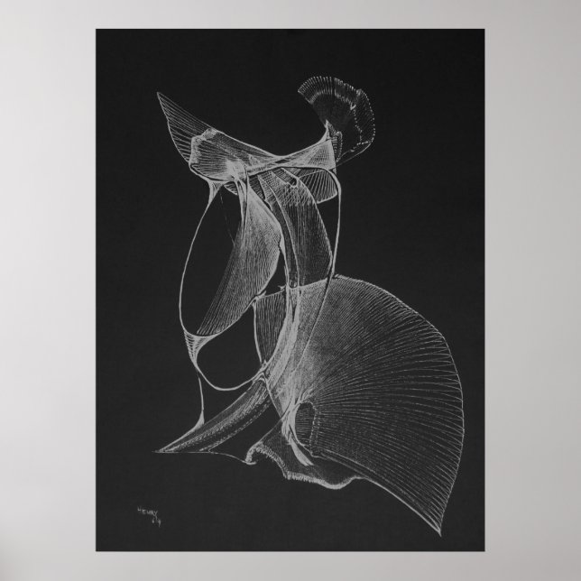 Pôster Henry Computer Art 059 (Frente)