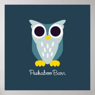 Pôster Henry the Owl