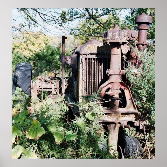 Pôster Herança (Frente)