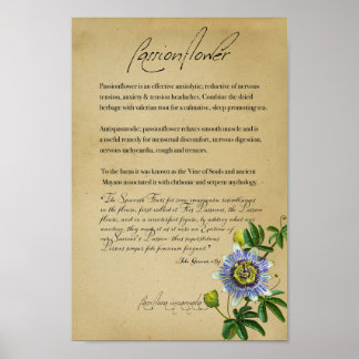 Poster Herbal Apothecary: Passionflower | Botanical Poste