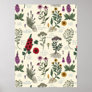 Poster Herbário de Jardim Medicinal em branco fosco