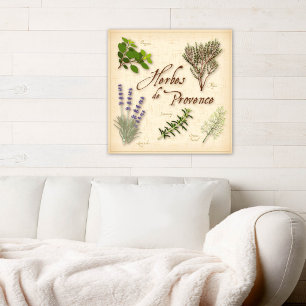 Pôster Herbes de Provence Poster