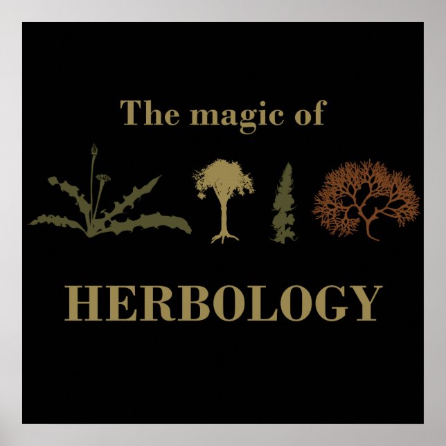 Poster herbology (Frente)