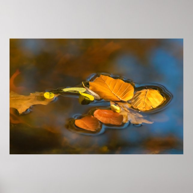 Poster Herbstblätter im See (Frente)