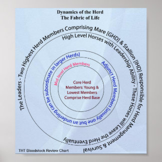 Pôster Herd Dynamic Fabric of Life