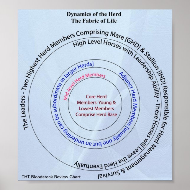 Pôster Herd Dynamic Fabric of Life (Frente)