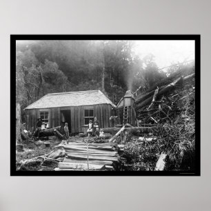 Pôster Herdade do colono em Nova Zelândia 1906