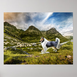 Poster Herdeiro de Melo Azul Collie em Highlands -