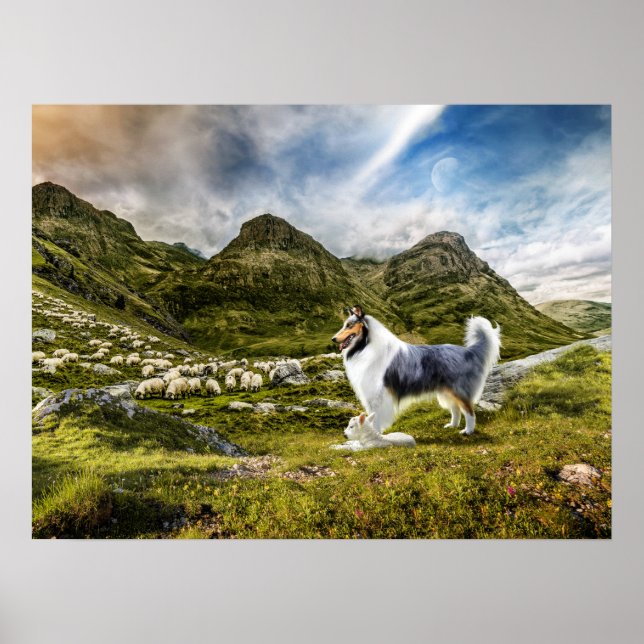 Poster Herdeiro de Melo Azul Collie em Highlands - (Frente)
