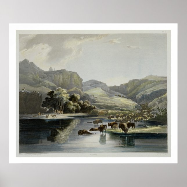 Poster Herds of Bison and Elk on the Upper Missouri, plat (Frente)