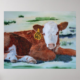 Poster Hereford Calf