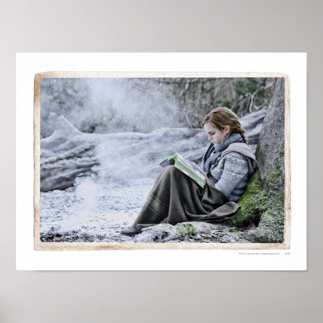 Pôster Hermione 13 (Frente)